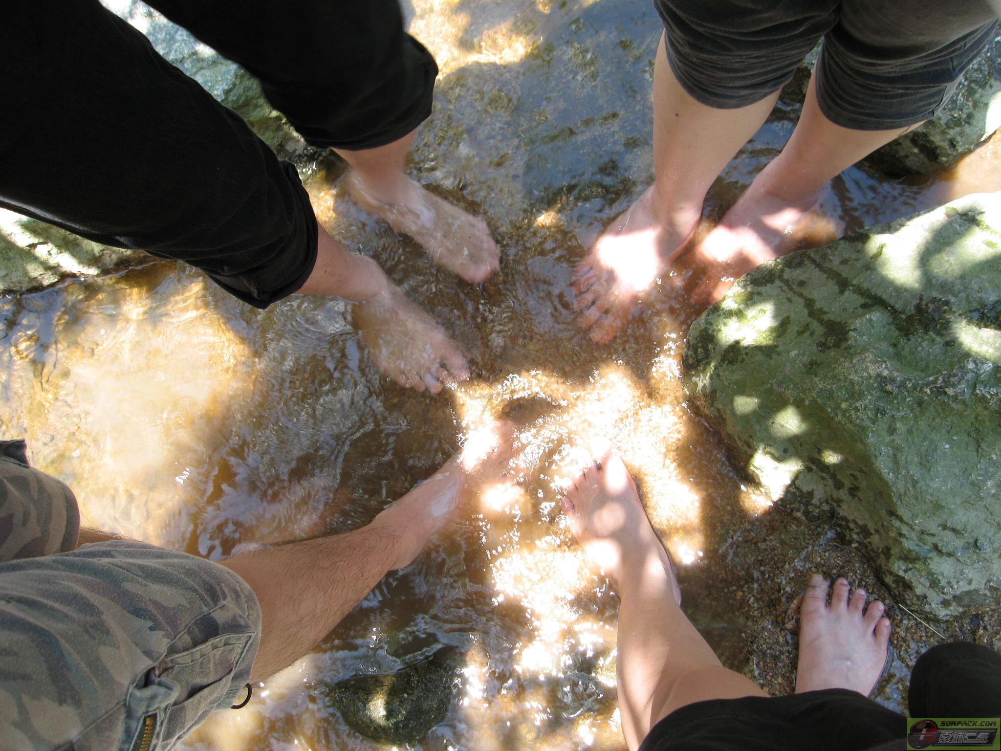 dvubb 图片点击可在新窗口打开查看