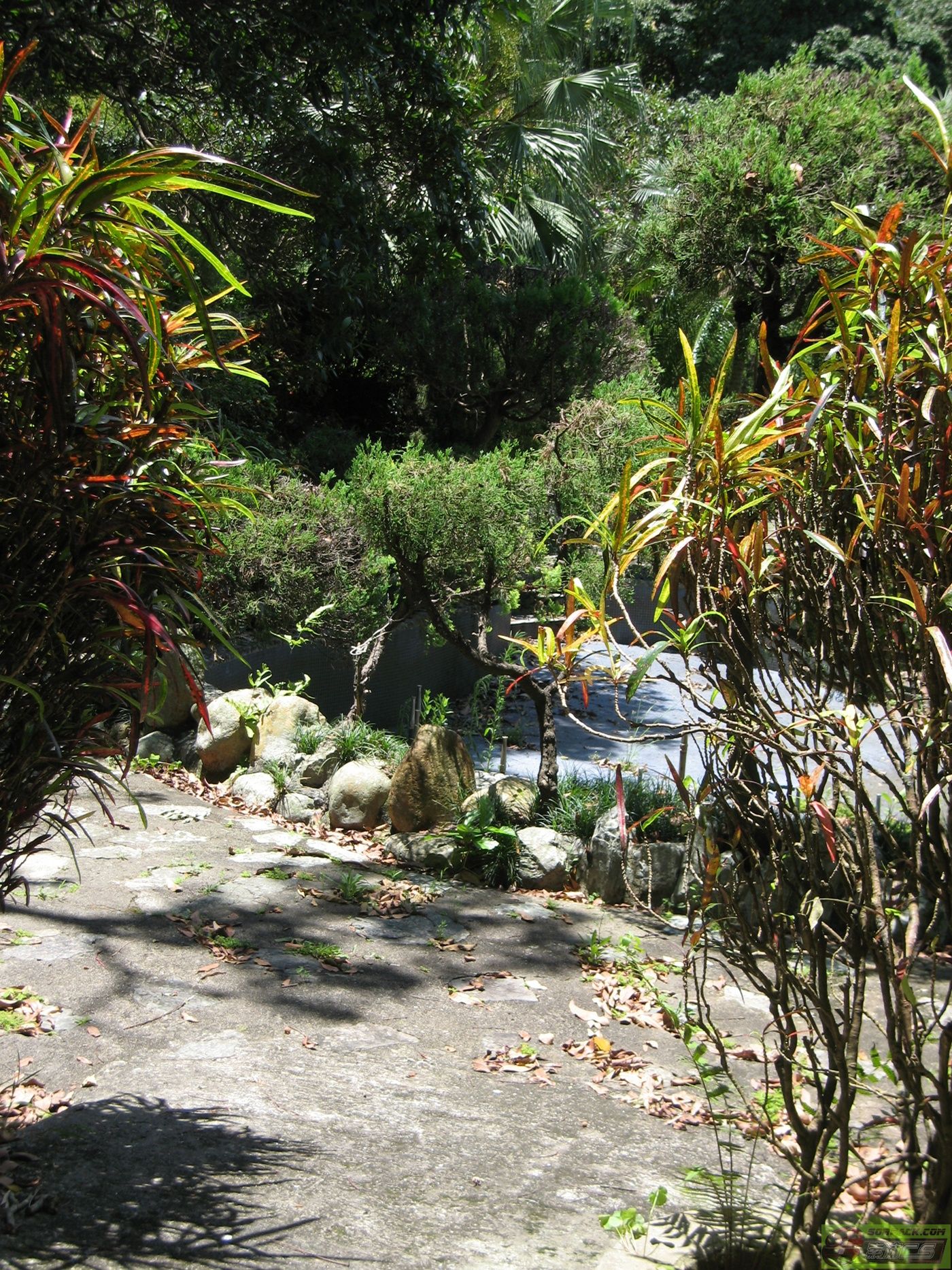 dvubb 图片点击可在新窗口打开查看