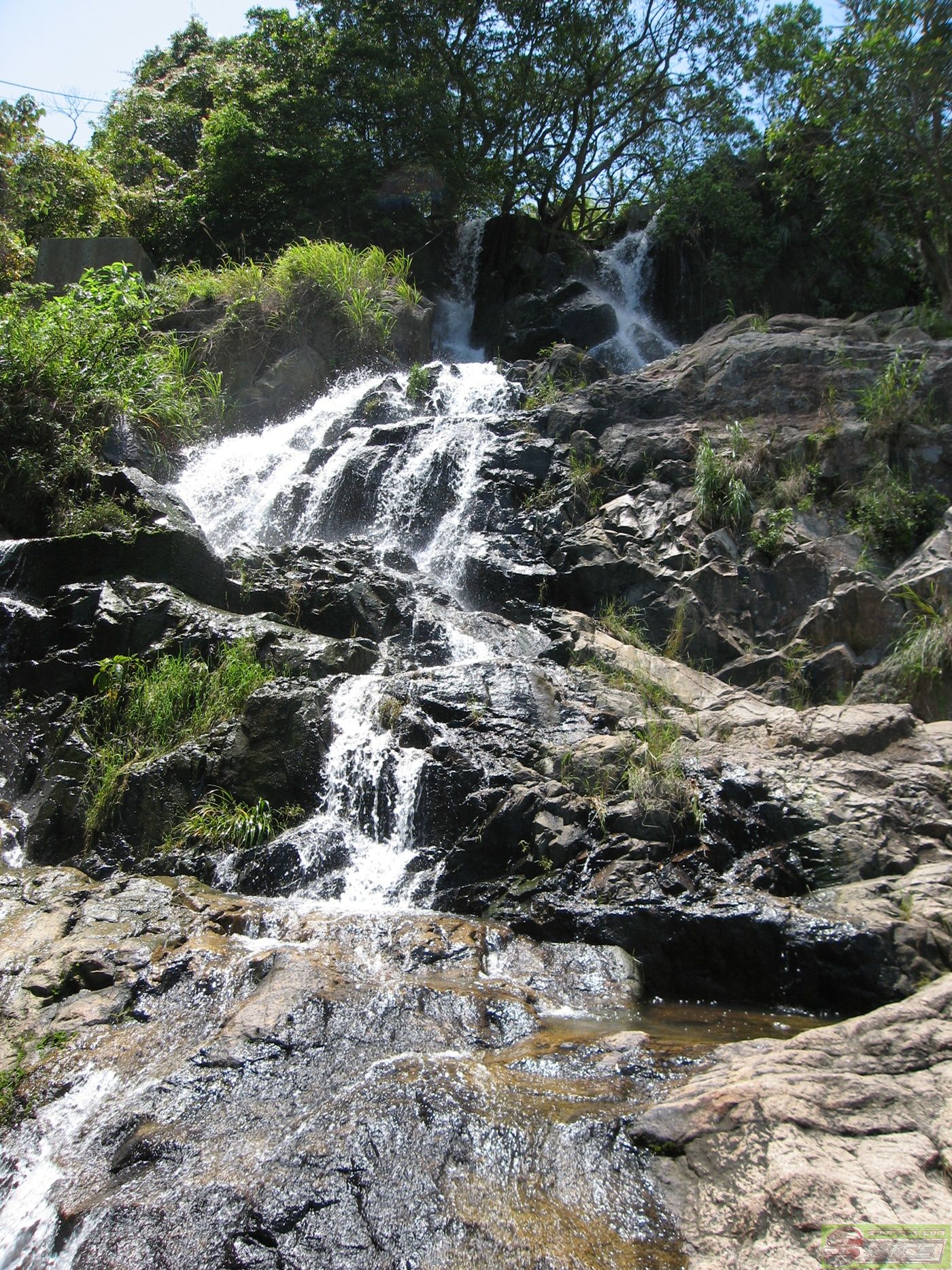 dvubb 图片点击可在新窗口打开查看