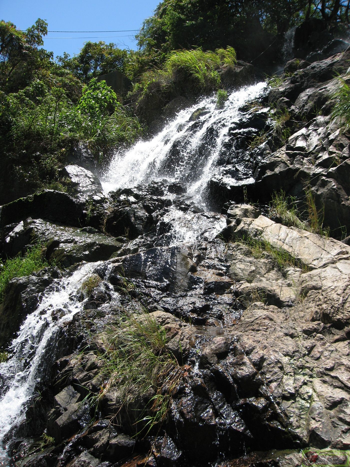 dvubb 图片点击可在新窗口打开查看