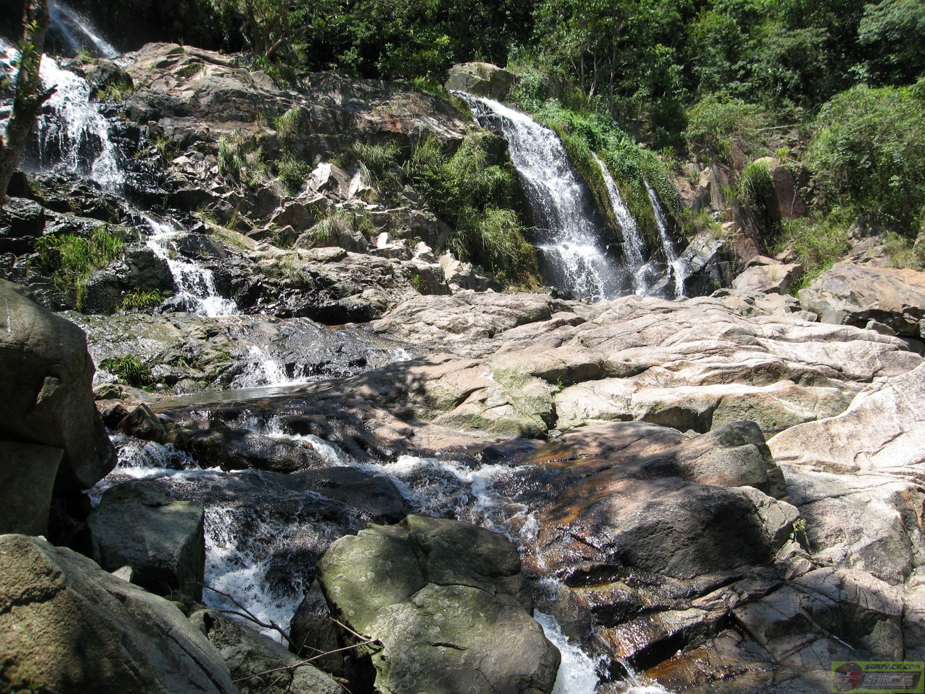 dvubb 图片点击可在新窗口打开查看