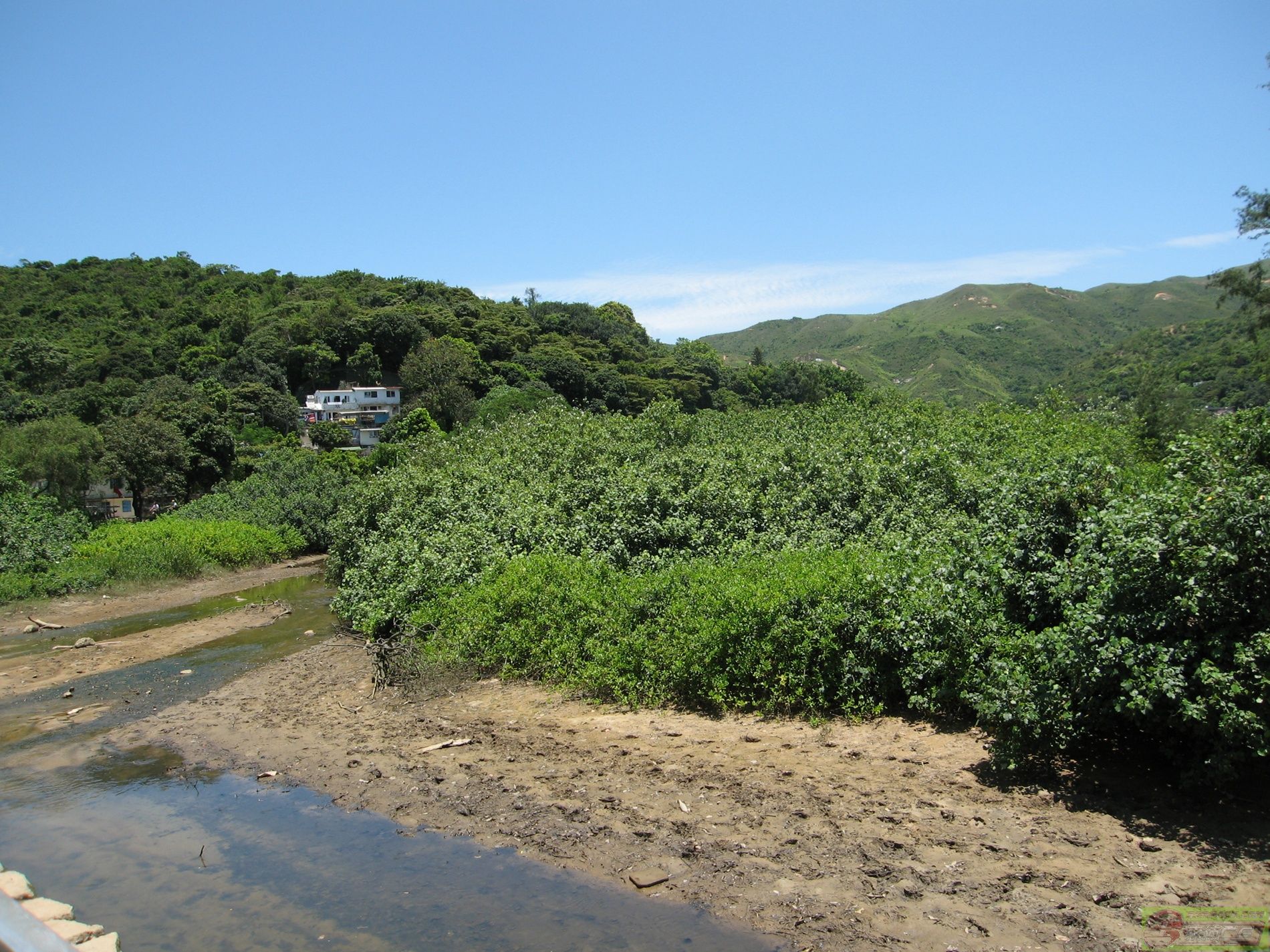 dvubb 图片点击可在新窗口打开查看