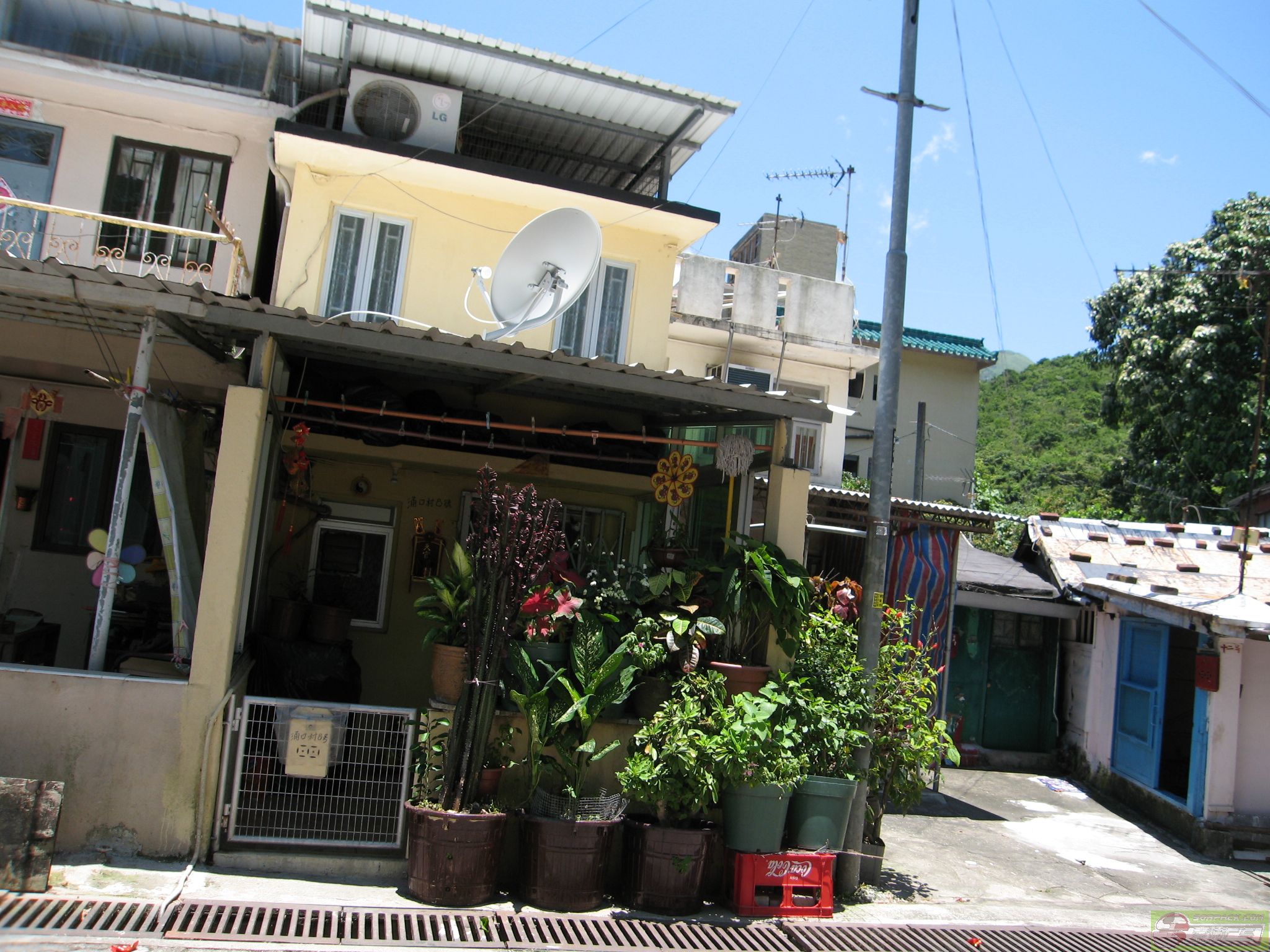 dvubb 图片点击可在新窗口打开查看