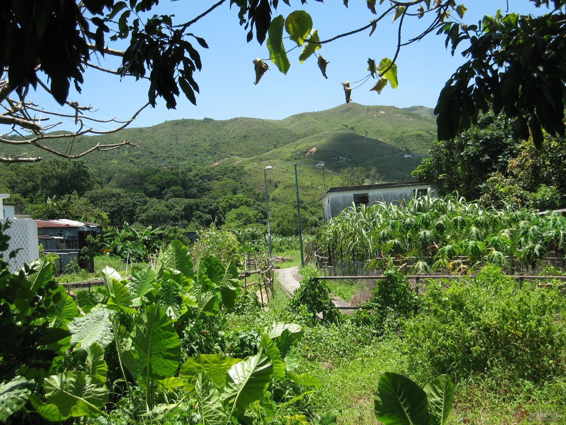 dvubb 图片点击可在新窗口打开查看