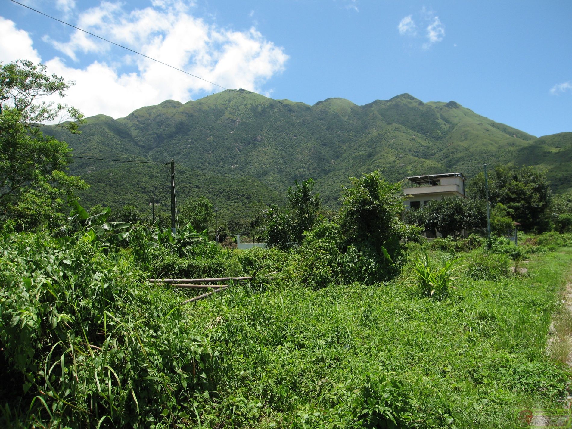 dvubb 图片点击可在新窗口打开查看