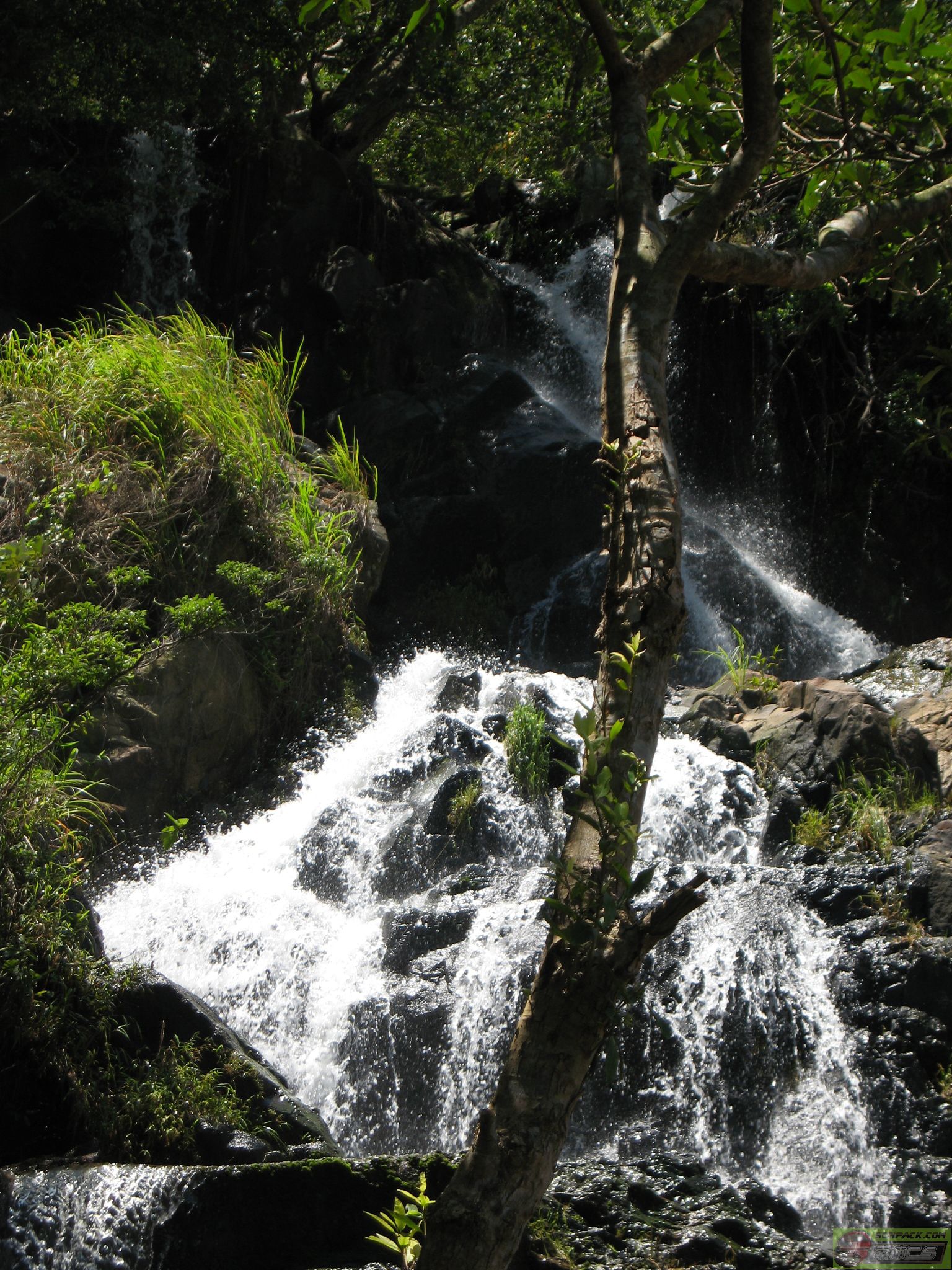 dvubb 图片点击可在新窗口打开查看