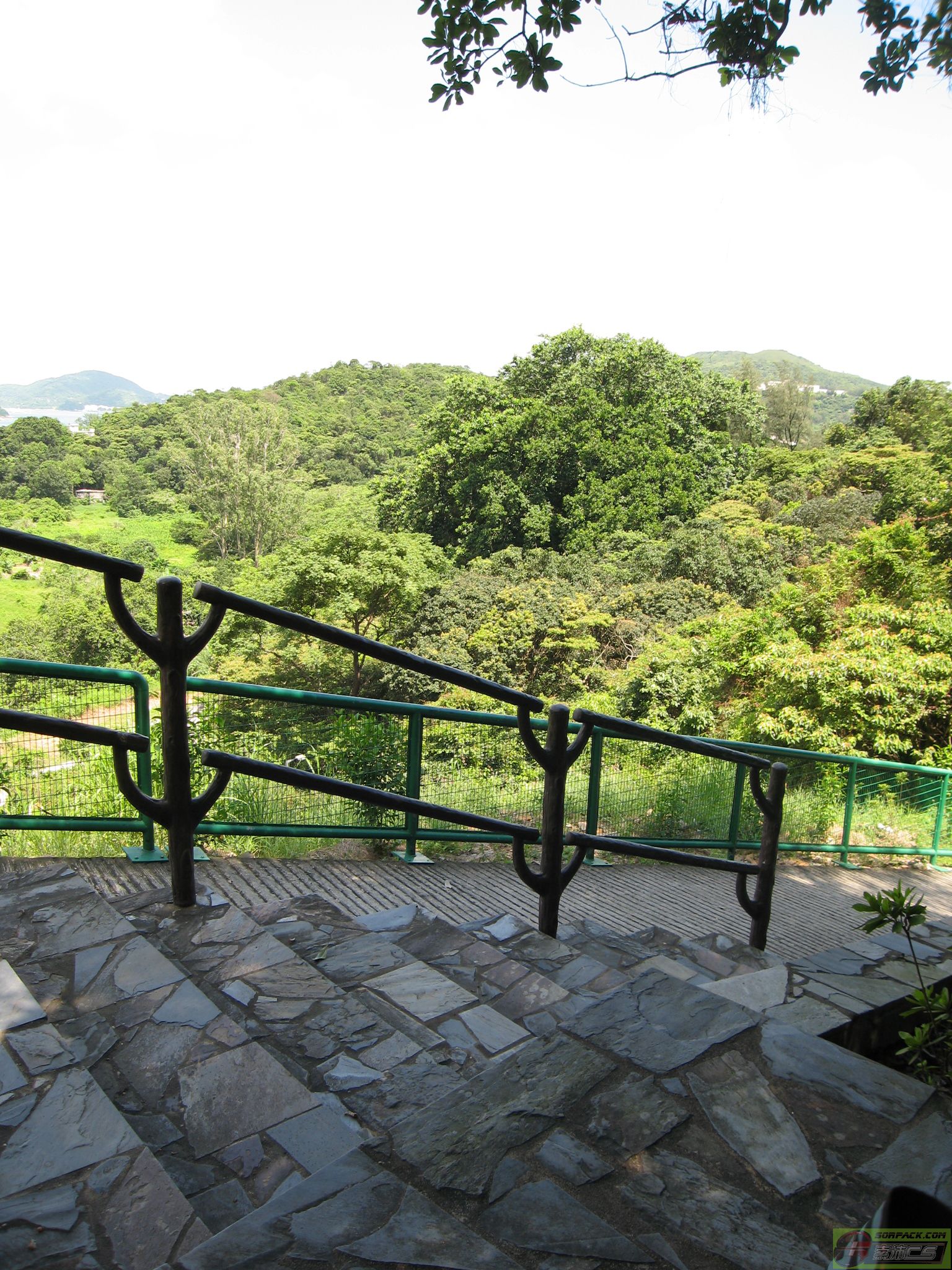 dvubb 图片点击可在新窗口打开查看