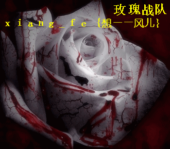 ͼƬ��������´��ڴ򿪲鿴