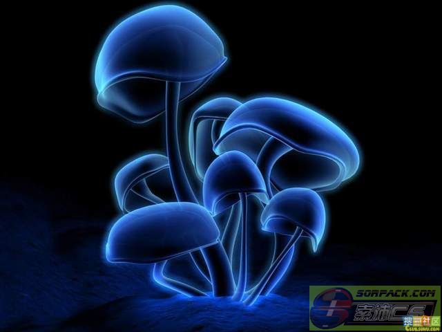 dvubb 图片点击可在新窗口打开查看