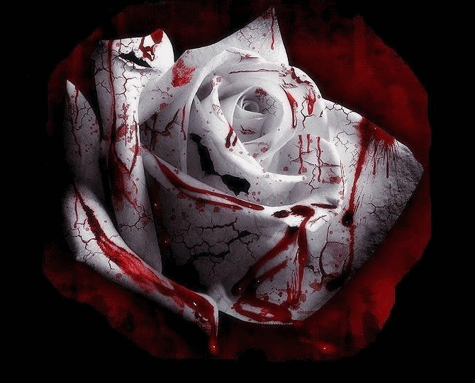 ͼƬ��������´��ڴ򿪲鿴