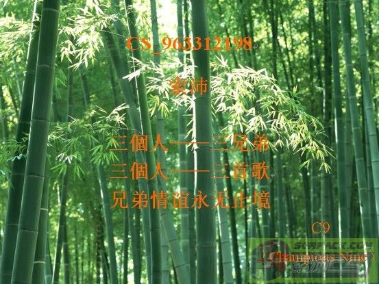 ͼƬ��������´��ڴ򿪲鿴