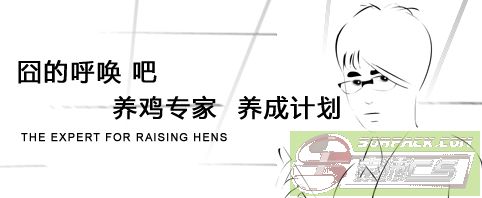 ͼƬ��������´��ڴ򿪲鿴