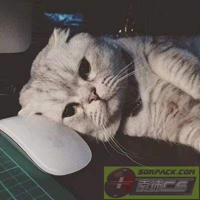 ͼƬ��������´��ڴ򿪲鿴