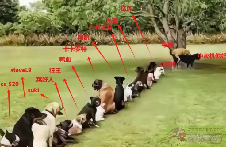 ͼƬ��������´��ڴ򿪲鿴