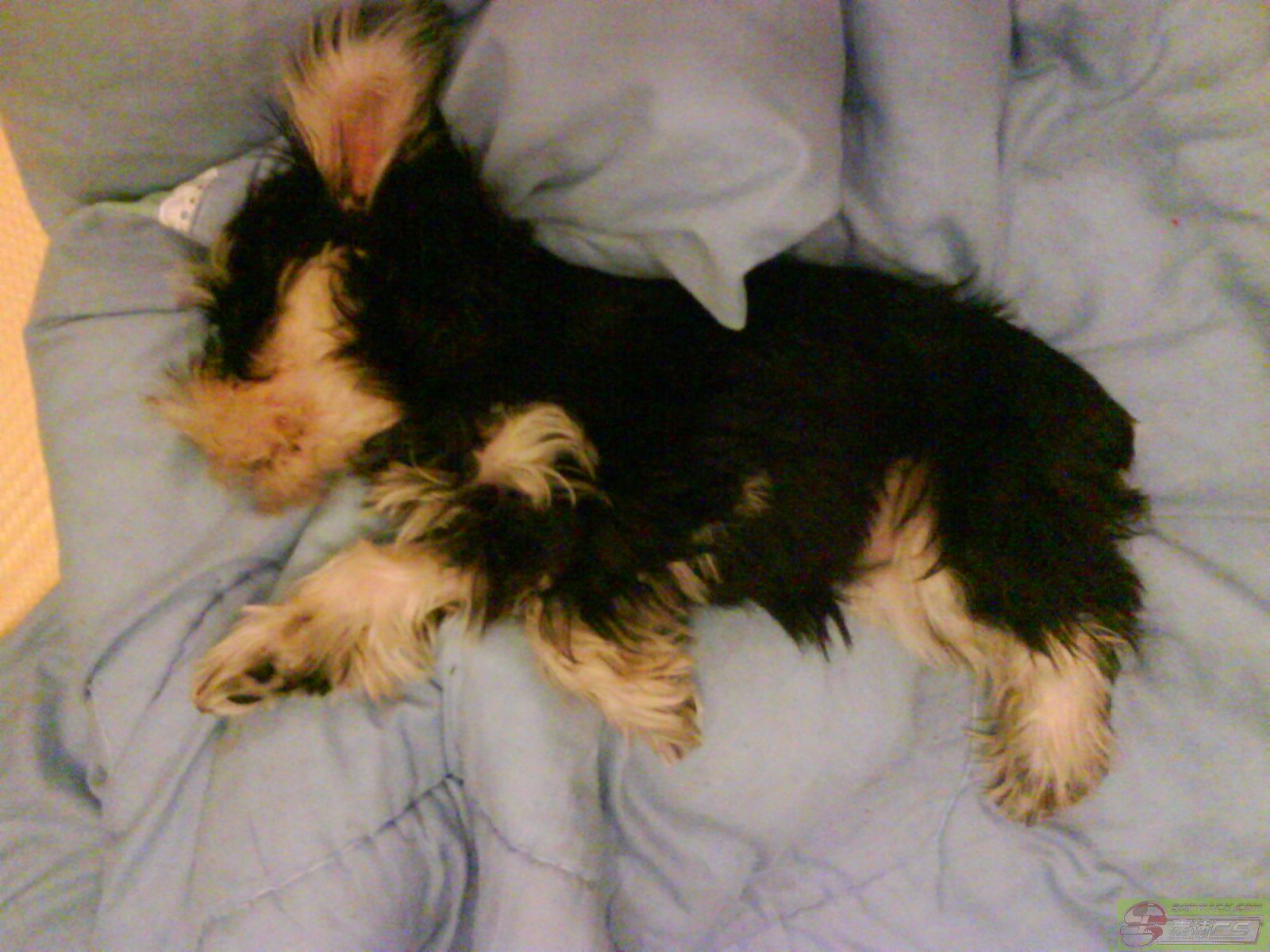 ͼƬ��������´��ڴ򿪲鿴