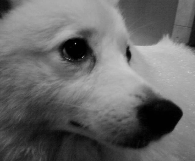 ͼƬ��������´��ڴ򿪲鿴